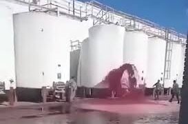 Por insólito error se riega una bodega con casi 15 mil litros de vino