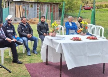 Tomate de árbol de Azuay se exportará a Estados Unidos