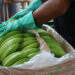 Las exportaciones de banano ecuatoriano descendieron en el primer semestre de 2024