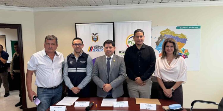 BanEcuador: créditos de hasta 150 mil dólares para enfrentar plaga del Moko en las bananeras