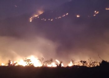 Incendio forestal en Quilanga, provincia de Loja, arrasa con 750 hectáreas