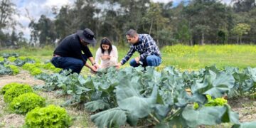 Universidad lojana desarrolla nuevo biofertilizante para potenciar la producción agrí­cola