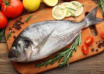 Ecuatorianos consumimos conchas y pescados contaminados con mercurio y plomo