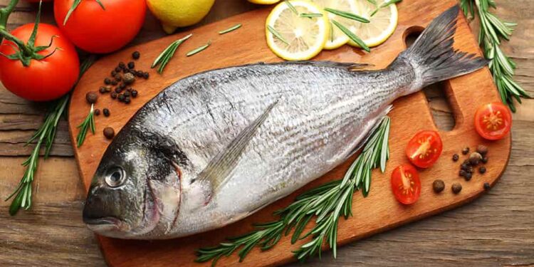 Ecuatorianos consumimos conchas y pescados contaminados con mercurio y plomo