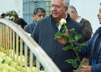 Alcaldía de Ibarra con miras a implementar la industria florí­cola en el cantón