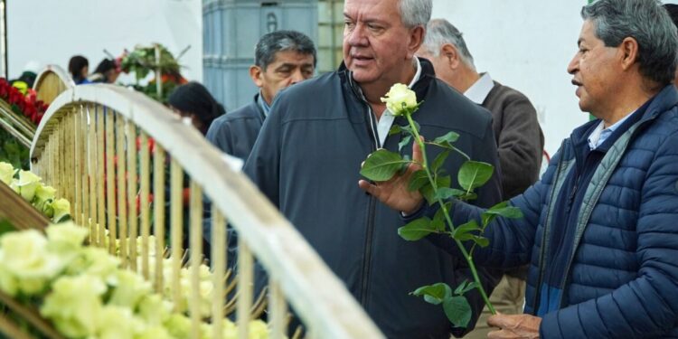 Alcaldía de Ibarra con miras a implementar la industria florícola en el cantón