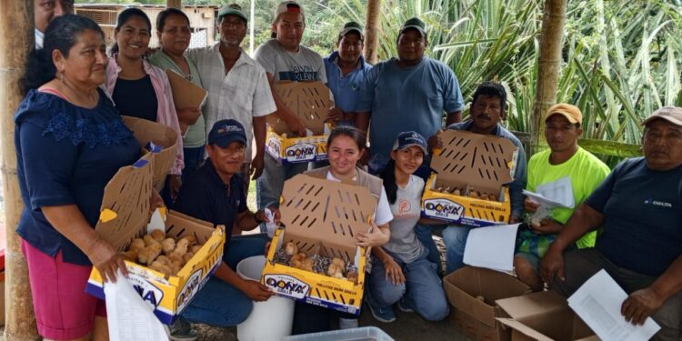 Trabajo interinstitucional para luchar contra la desnutrición infantil en Manabí­