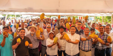 Dos nuevas variedades de cacao dinamizarán la actividad agrícola en Esmeraldas