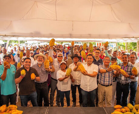 Dos nuevas variedades de cacao dinamizarán la actividad agrícola en Esmeraldas