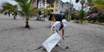 Recogen y clasifican residuos y desechos sólidos en playas, lagos, lagunas y ríos