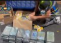 En cargamento de  pitahaya enviaron 165 kilos de cocaína a España