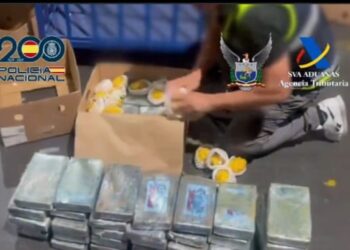 En cargamento de  pitahaya enviaron 165 kilos de cocaína a España 