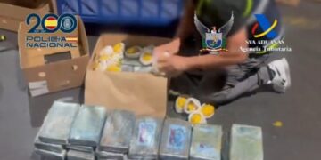 En cargamento de  pitahaya enviaron 165 kilos de cocaína a España 