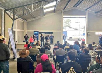 En Azuay vinculan a productores de leche de la AFC al Programa de Alimentación Escolar