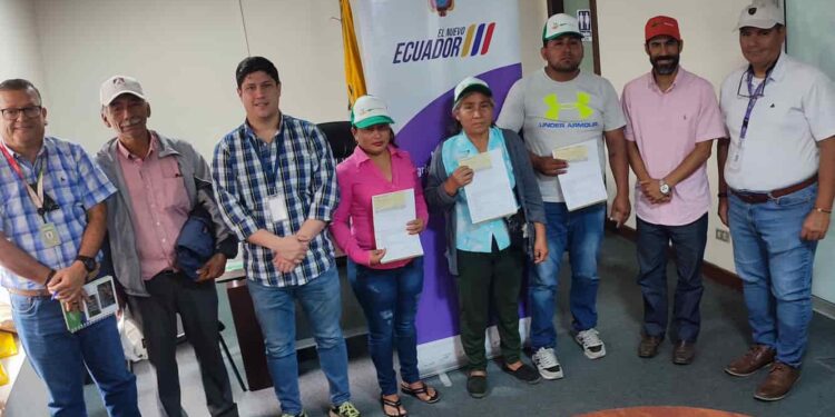 Pequeños productores manabitas son indemnizados por pérdidas de cultivos de maíz
