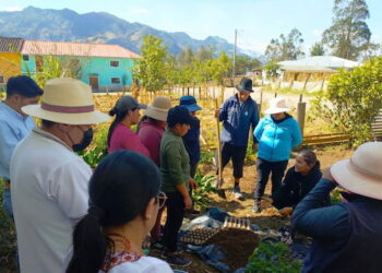 En Saraguro: taller de elaboración de sustratos y semilleros para fortalecer producción local