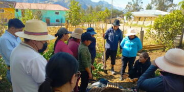 En Saraguro: taller de elaboración de sustratos y semilleros para fortalecer producción local