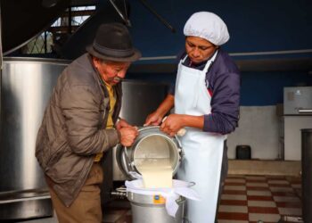 Ecuador ya puede exportar productos lácteos a Chile