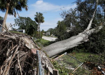 Daños del huracán Milton en la agricultura de Florida superan los USD 2 mil millones
