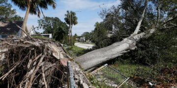 Daños del huracán Milton en la agricultura de Florida superan los USD 2 mil millones
