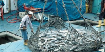 Ecuador espera recuperar sus exportaciones de productos pesqueros a España