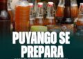 Festival internacional de abejas nativas en Puyango (Loja)