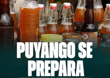 Festival internacional de abejas nativas en Puyango (Loja)