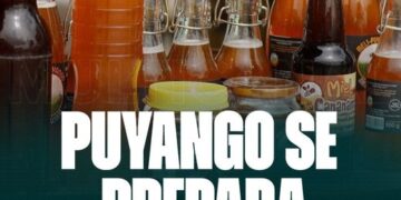 Festival internacional de abejas nativas en Puyango (Loja)