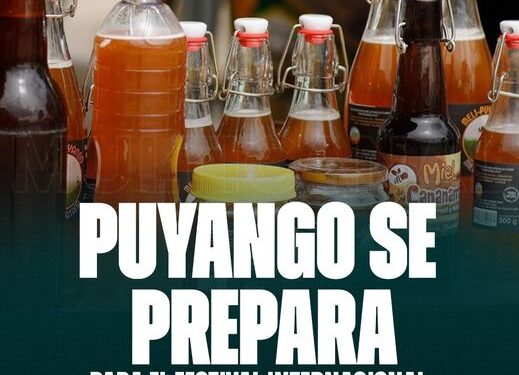 Festival internacional de abejas nativas en Puyango (Loja)