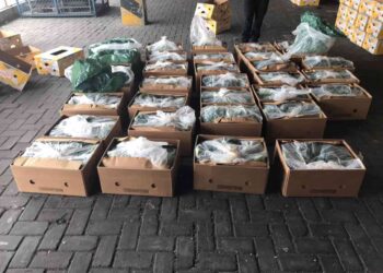 Inteligencia artificial para combatir el narcotráfico en la industria del banano ecuatoriano