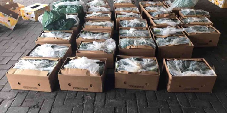 Inteligencia artificial para combatir el narcotráfico en la industria del banano ecuatoriano