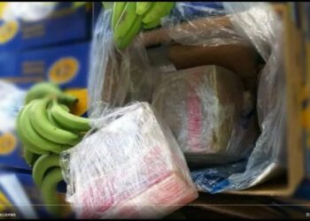 Más drogas a Europa, a través de frutas ecuatorianas