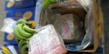 Más drogas a Europa, a través de frutas ecuatorianas