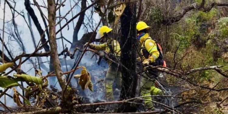 MAG moviliza recursos para la recuperación de animales afectados por incendio en Loja