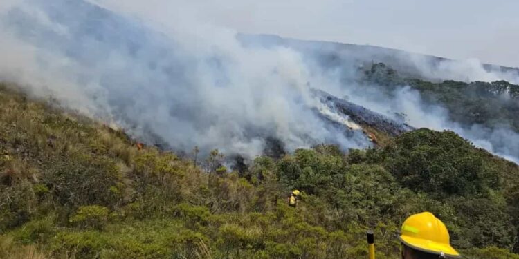 Preocupante situación de incendios en la provincia de Loja