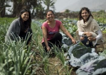 Al menos 1,2 millones de jóvenes latinoamericanos dejarán el sector agrícola hasta 2030