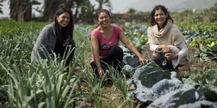 Al menos 1,2 millones de jóvenes latinoamericanos dejarán el sector agrícola hasta 2030