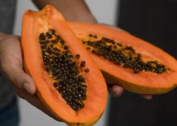 La papaya, una buena alternativa para quienes necesitan colágeno