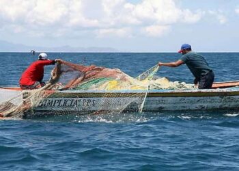 “Reformas al Código Orgánico de Reactivación Agropecuario y Pesca vulneran derechos”