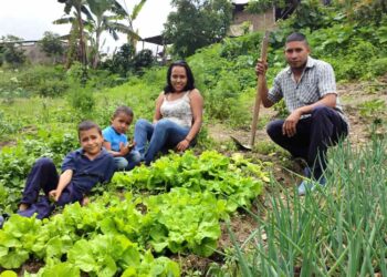 Rol central de la agricultura familiar para la transformación de los sistemas agroalimentarios