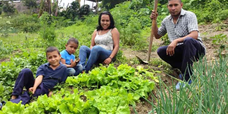 Rol central de la agricultura familiar para la transformación de los sistemas agroalimentarios