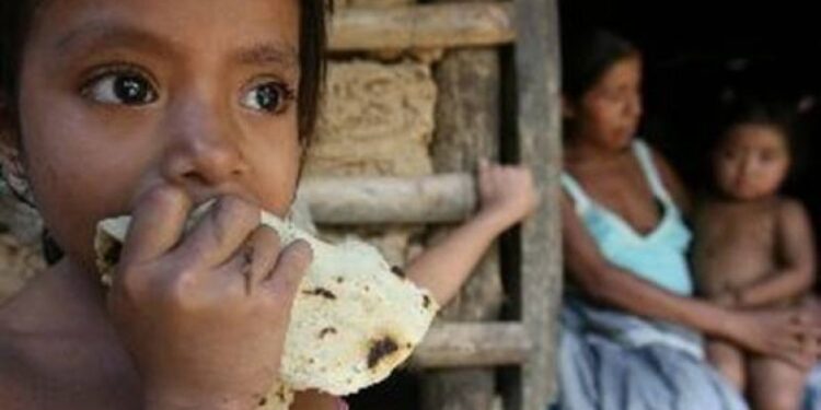 FAO insta a sus miembros y socios a unirse a la Alianza Global contra el Hambre y la Pobreza