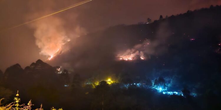 Elaboran Guía Legal de Procedimientos Sancionatorios frente a Incendios Forestales