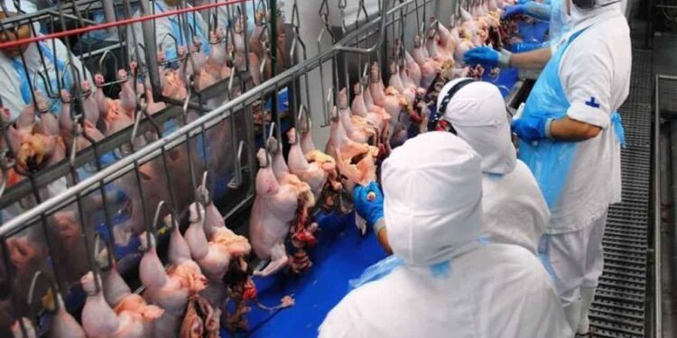 Multinacional brasileña invertirá USD 2.500 millones en Nigeria para fortalecer industria cárnica