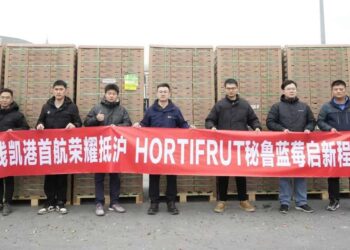 Arribó a China el primer envío de arándanos a través del Megapuerto de Chancay (Perú)