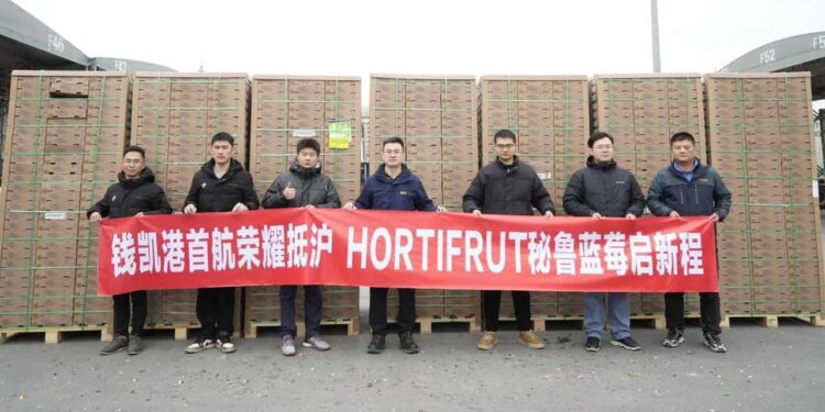 Arribó a China el primer envío de arándanos a través del Megapuerto de Chancay (Perú)