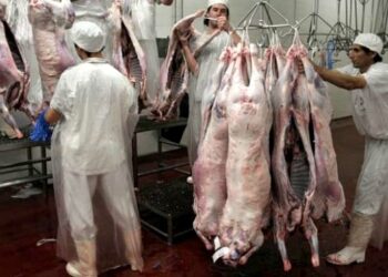 Chile firma acuerdos con China para impulsar exportaciones agroalimentarias