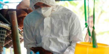 En Colombia confirman primer brote de influenza aviar de alta patogenicidad
