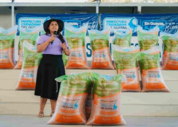 En Guayas: 6.000 agricultores de arroz beneficiados con sacas de semillas