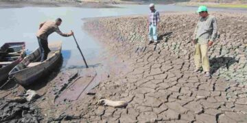 “Día Mundial del Suelo”, en medio de su degradación y el constante cambio climático